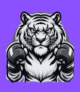 MMA MHandicapper - The White Tiger 