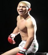 MMA MHandicapper - Furio 